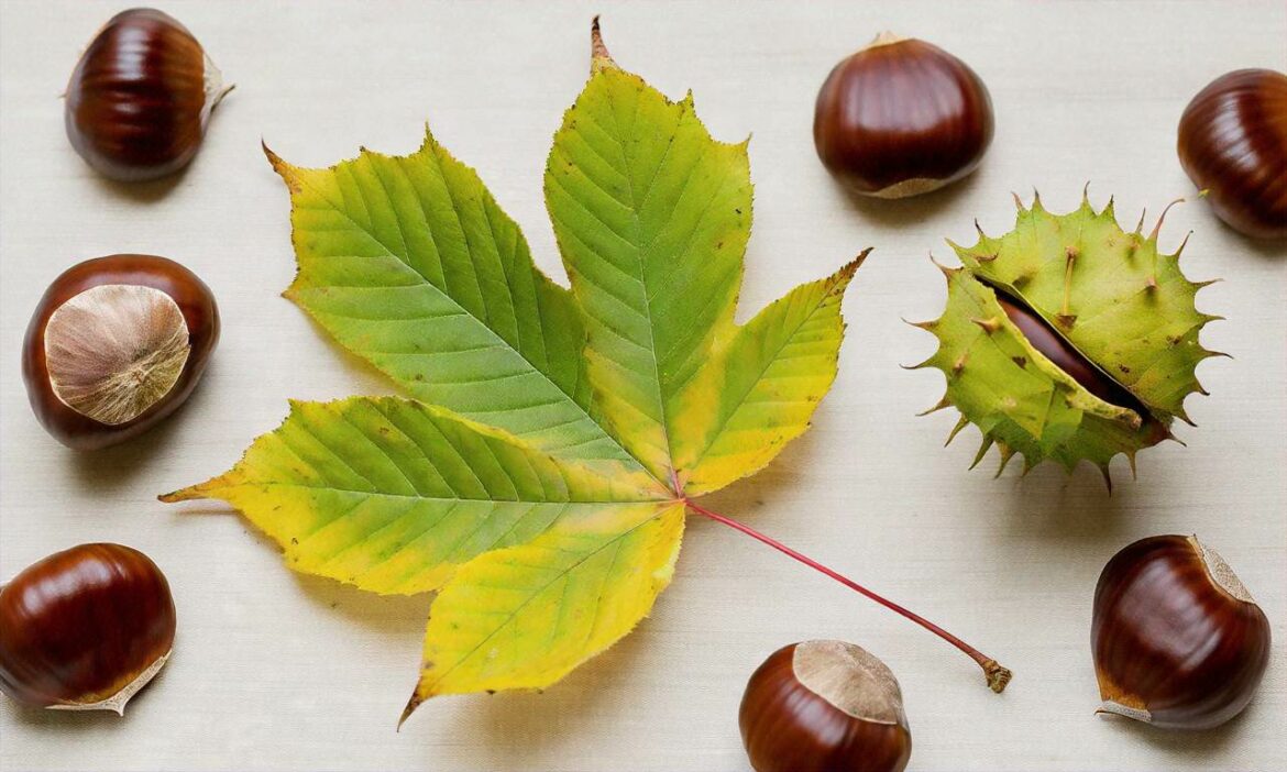 Jesienne prace plastyczne z natury – pomysły na zabawy z liśćmi i kasztanami